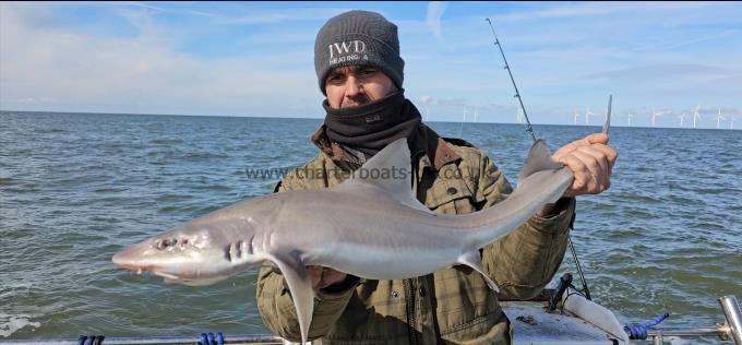 9 lb 10 oz Smooth-hound (Common) by James