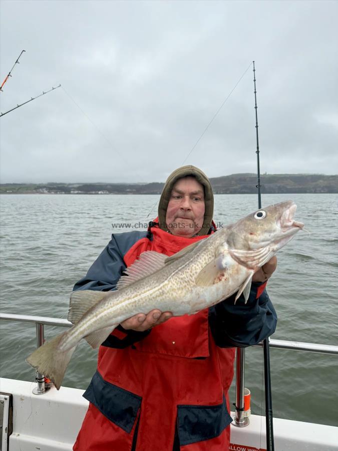 5 lb 8 oz Cod by Gordon Blythe