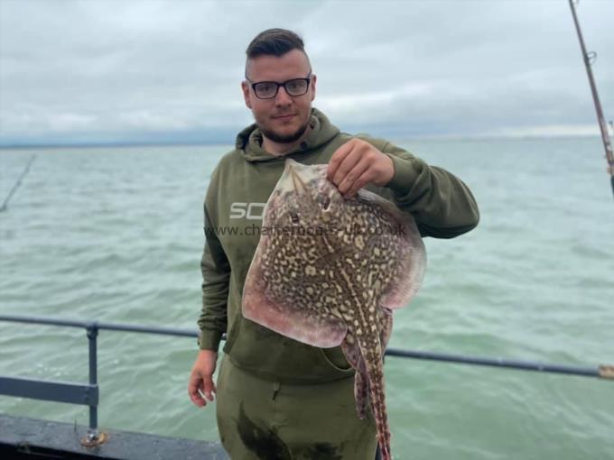 5 lb Thornback Ray by Unknown