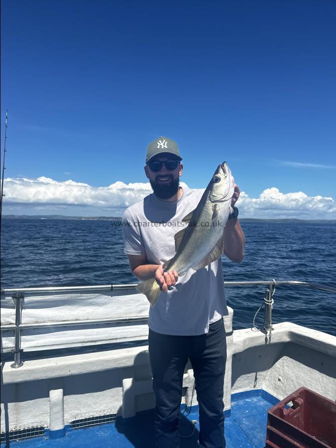 1 lb Pollock by Stuart