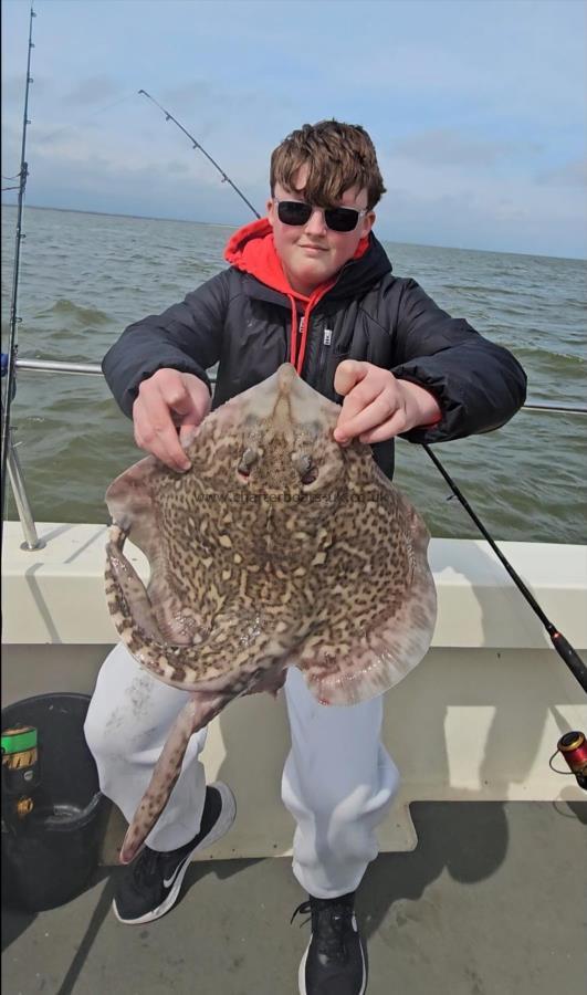 5 lb Thornback Ray by Jude