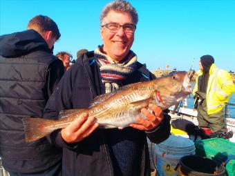 3 lb 5 oz Cod by Alf Limer.