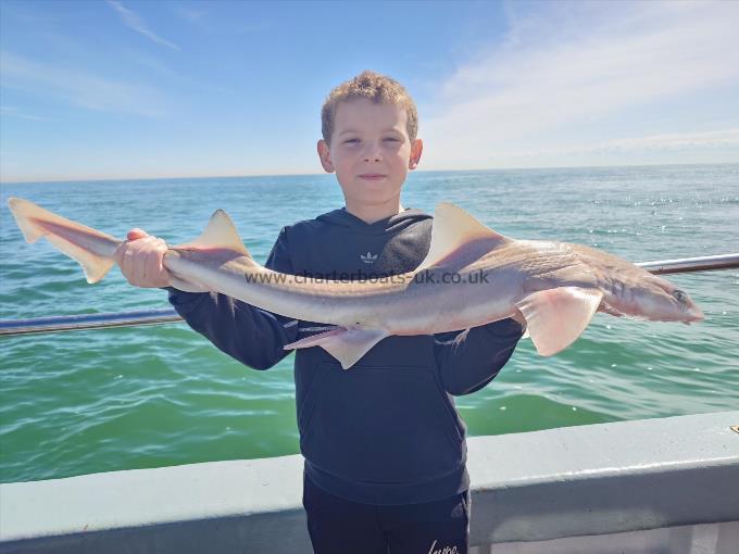 8 lb Smooth-hound (Common) by Jamie