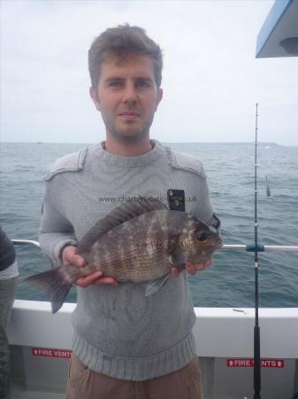 4 lb Black Sea Bream by Unknown