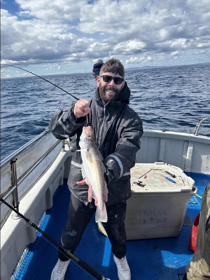 2 lb Whiting by Ross