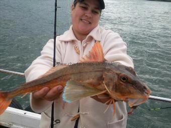 3 lb 8 oz Tub Gurnard by diane sayers