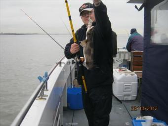 2 lb 4 oz Lesser Spotted Dogfish by Unknown