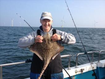 7 lb Thornback Ray by keith Hilton