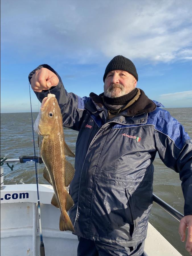 3 lb 15 oz Cod by Rich Todd.