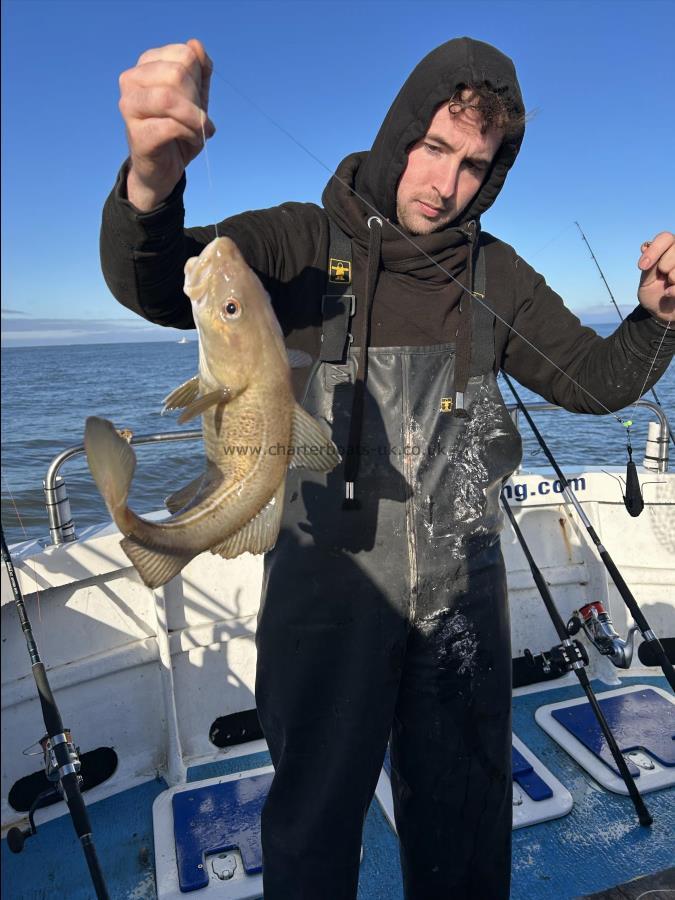 3 lb Cod by Fergus.