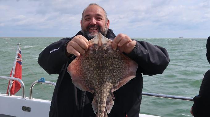 3 lb Thornback Ray by Unknown