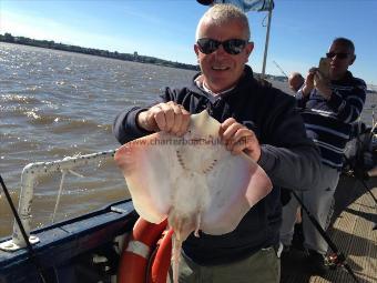 5 lb Thornback Ray by Unknown