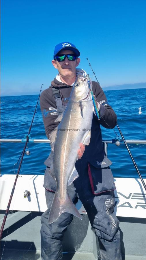 10 lb 8 oz Coalfish (Coley/Saithe) by Lee