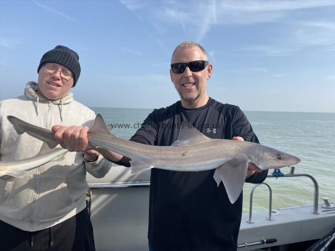 6 lb Smooth-hound (Common) by Unknown