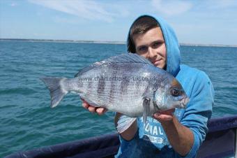 5 lb Black Sea Bream by Unknown