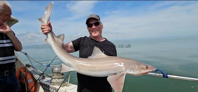 20 lb 8 oz Smooth-hound (Common) by Paul