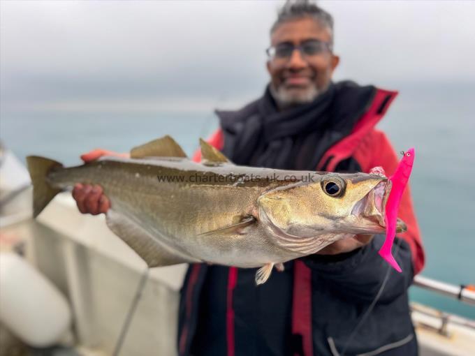 6 lb Pollock by Dara Khaled