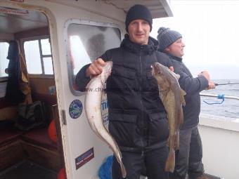 4 lb 6 oz Cod by Lee Bullock from Teeside.