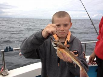 1 lb Tub Gurnard by Young Jack