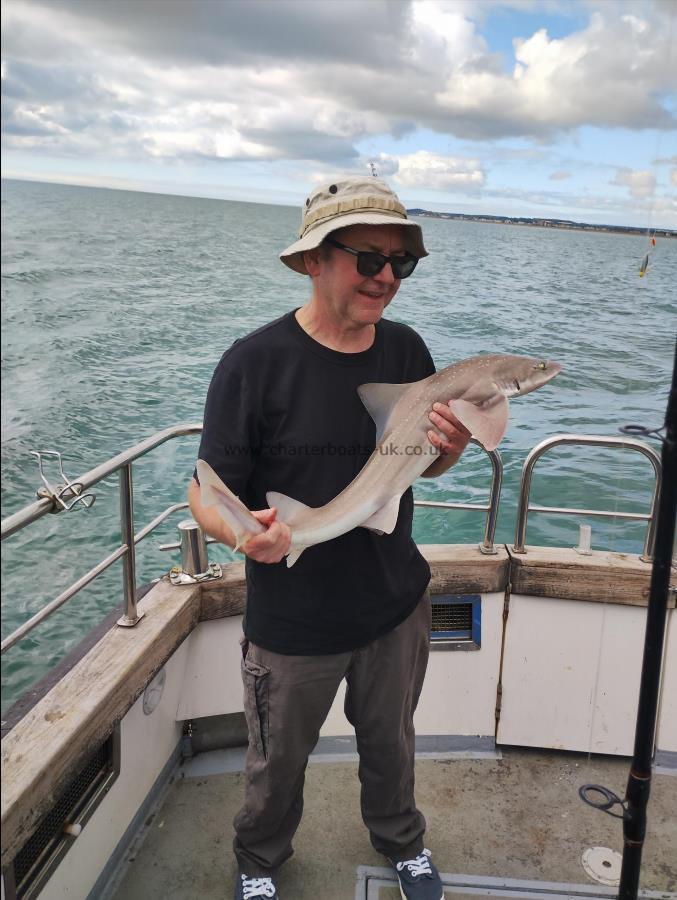 10 lb 2 oz Smooth-hound (Common) by Ian Sutherland