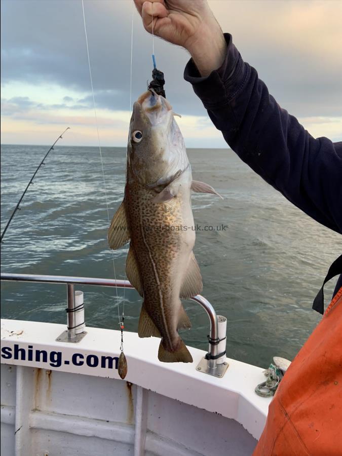 3 lb Cod by Fergus.