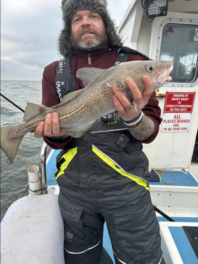 3 lb 8 oz Cod by Ali.