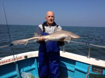 12 lb 12 oz Starry Smooth-hound by Mark Woods