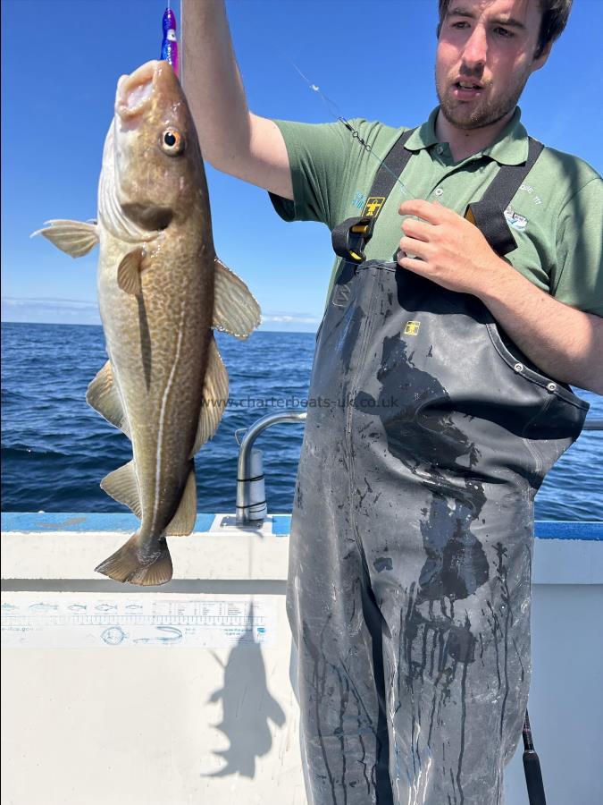 4 lb 8 oz Cod by Fergus.