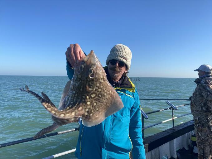 5 lb Thornback Ray by Unknown