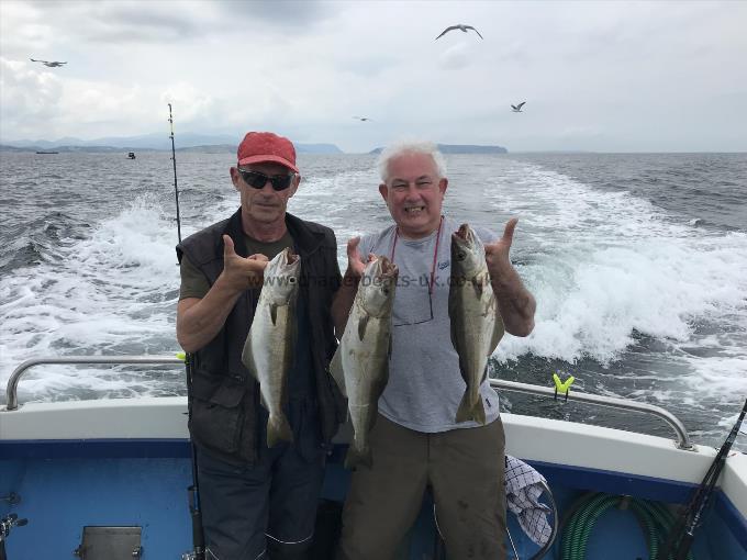 3 lb Pollock by Dave