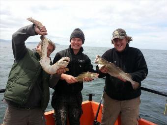 3 lb 14 oz Cod by Unknown