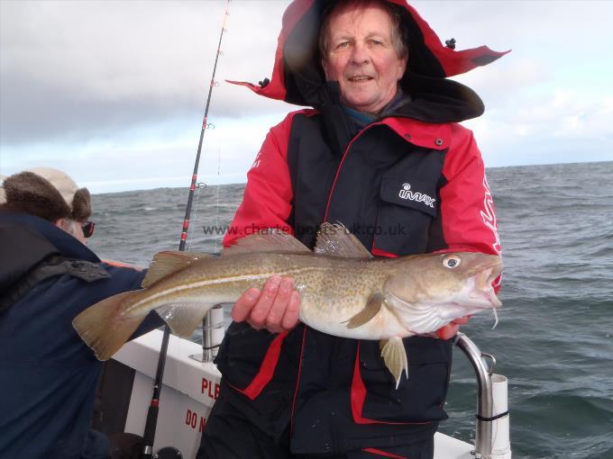 3 lb 12 oz Cod by Unknown