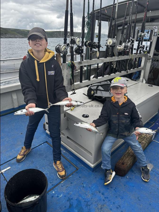 1 lb Mackerel by The Boys