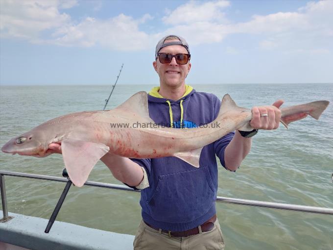 8 lb Starry Smooth-hound by Liam