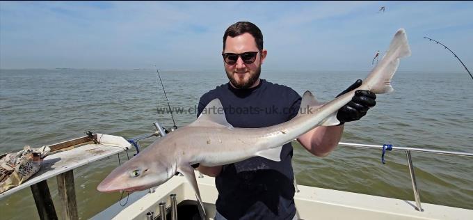 12 lb Smooth-hound by Tom