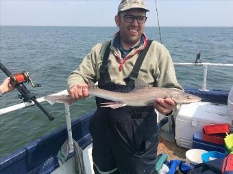 5 lb Smooth-hound by Martin