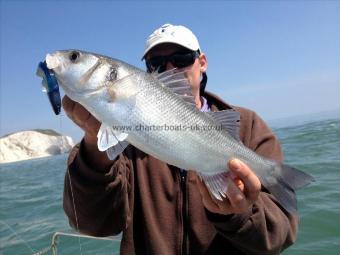 4 lb Bass by Jon Hall