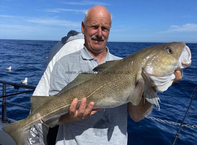 12 lb 5 oz Cod by Unknown