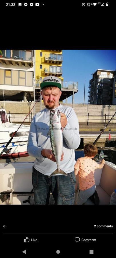 2 lb Mackerel by Anthony