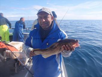 4 lb 1 oz Cod by Ahmed from Batley West Yorks.