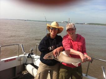 11 lb 2 oz Starry Smooth-hound by rainbow