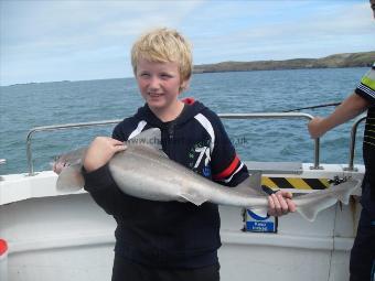 12 lb Starry Smooth-hound by Unknown