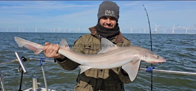 9 lb Starry Smooth-hound by James