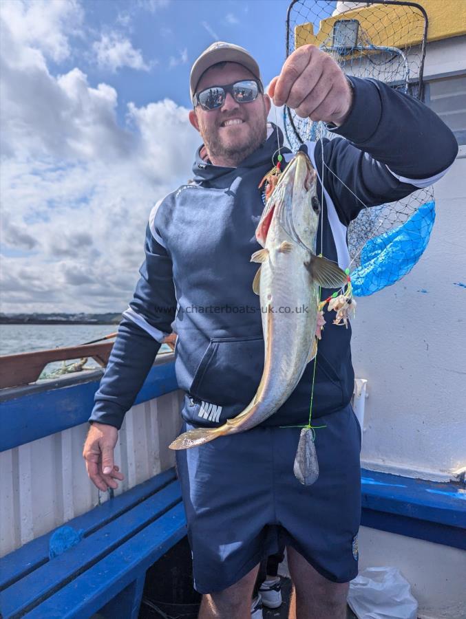 3 lb 8 oz Pollock by Unknown