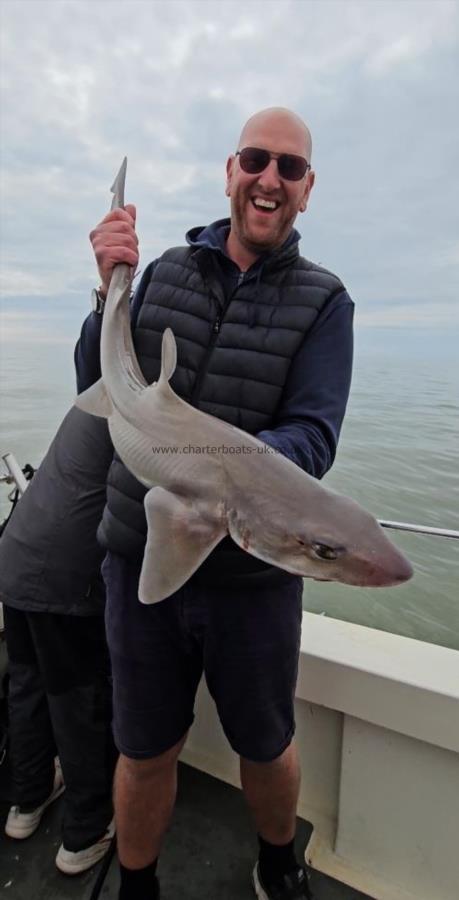 12 lb 8 oz Smooth-hound (Common) by Big Al