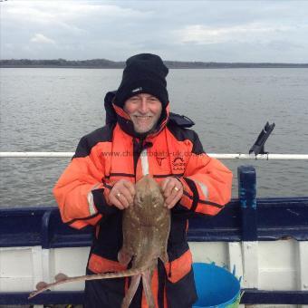 5 lb Thornback Ray by Mick