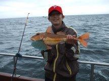 3 lb 11 oz Red Gurnard by daniel smith