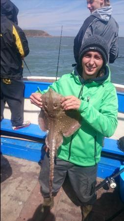 4 lb Thornback Ray by Unknown