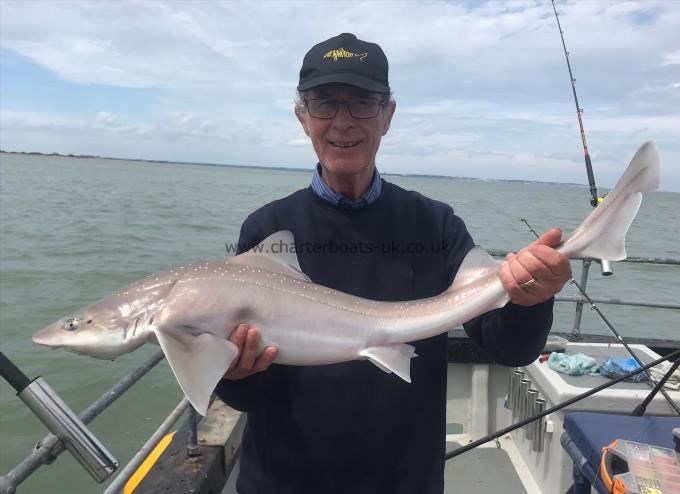 7 lb Smooth-hound (Common) by Unknown