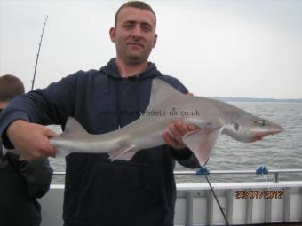 7 lb Starry Smooth-hound by Unknown